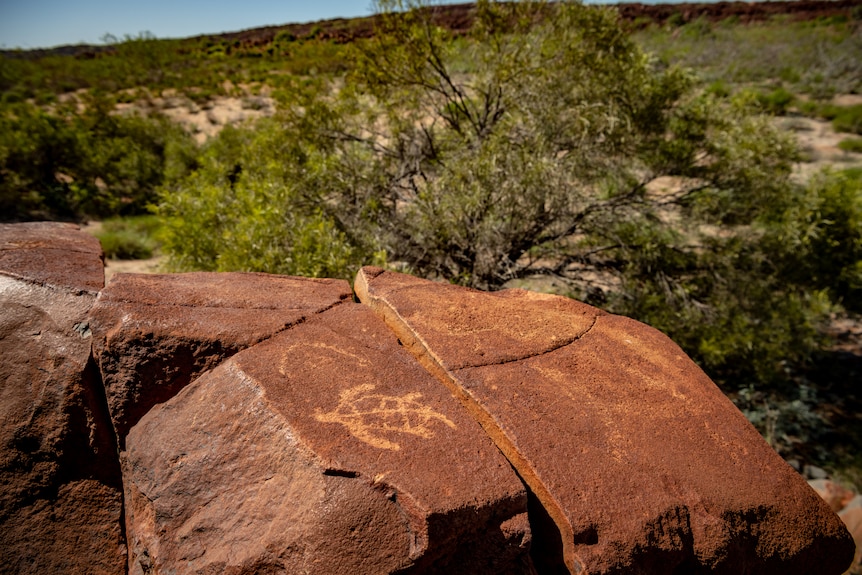 Rock art on the Burrup Peninsula, depicting a turtle.