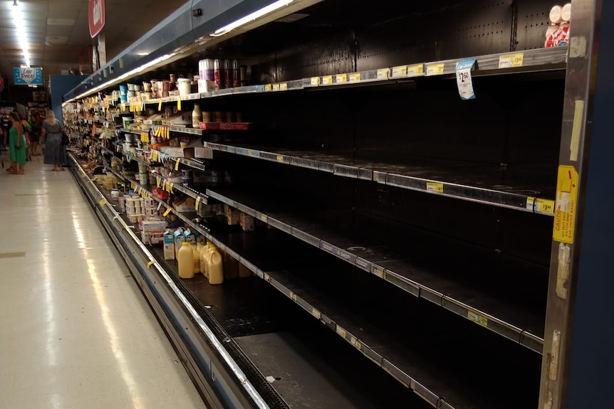 empty refrigerated shelves in supermarket 