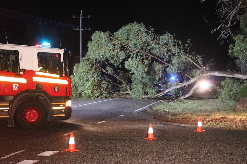 A large tree lies on a road at night after being blown over in a storm, with a fire truck parked to the left.