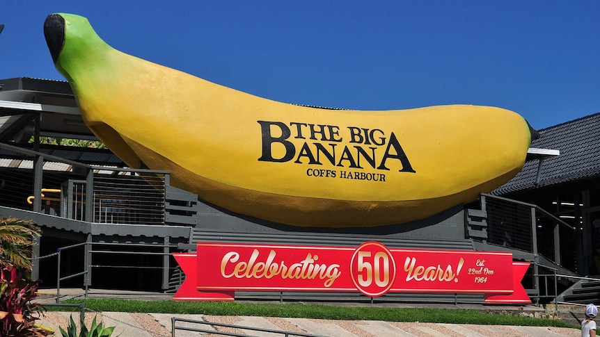 The Big Banana at Coffs Harbour.