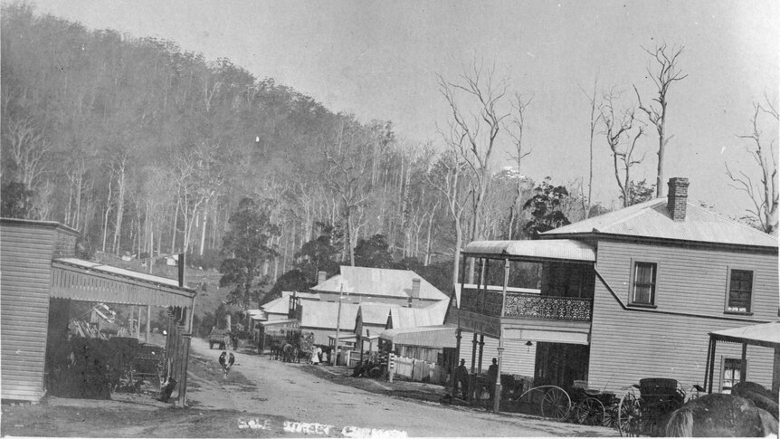Black and white picture of Coramba in 1908, dirt track road with buildings on either side and sulkies parked outside.