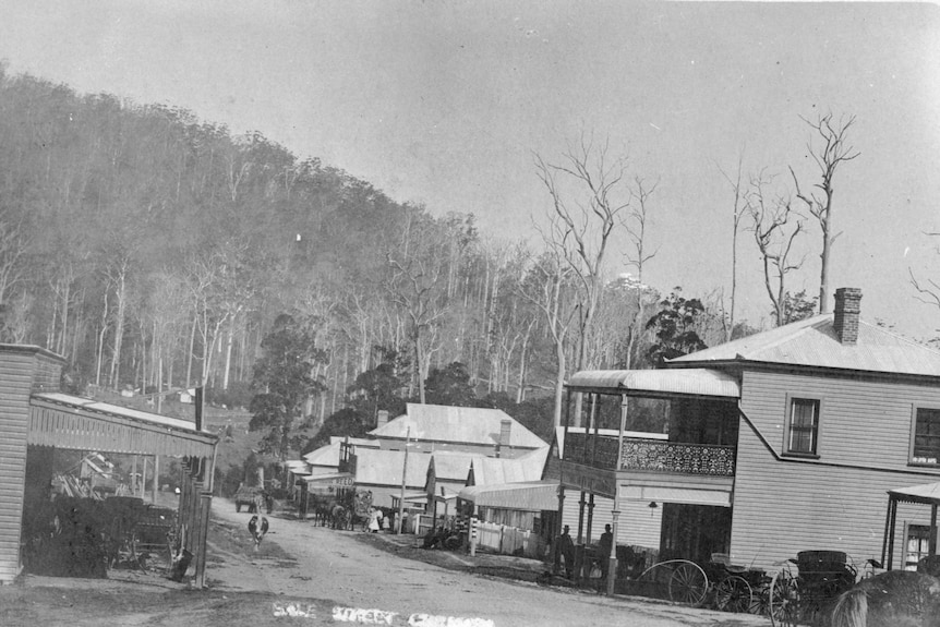 Black and white picture of Coramba in 1908, dirt track road with buildings on either side and sulkies parked outside.