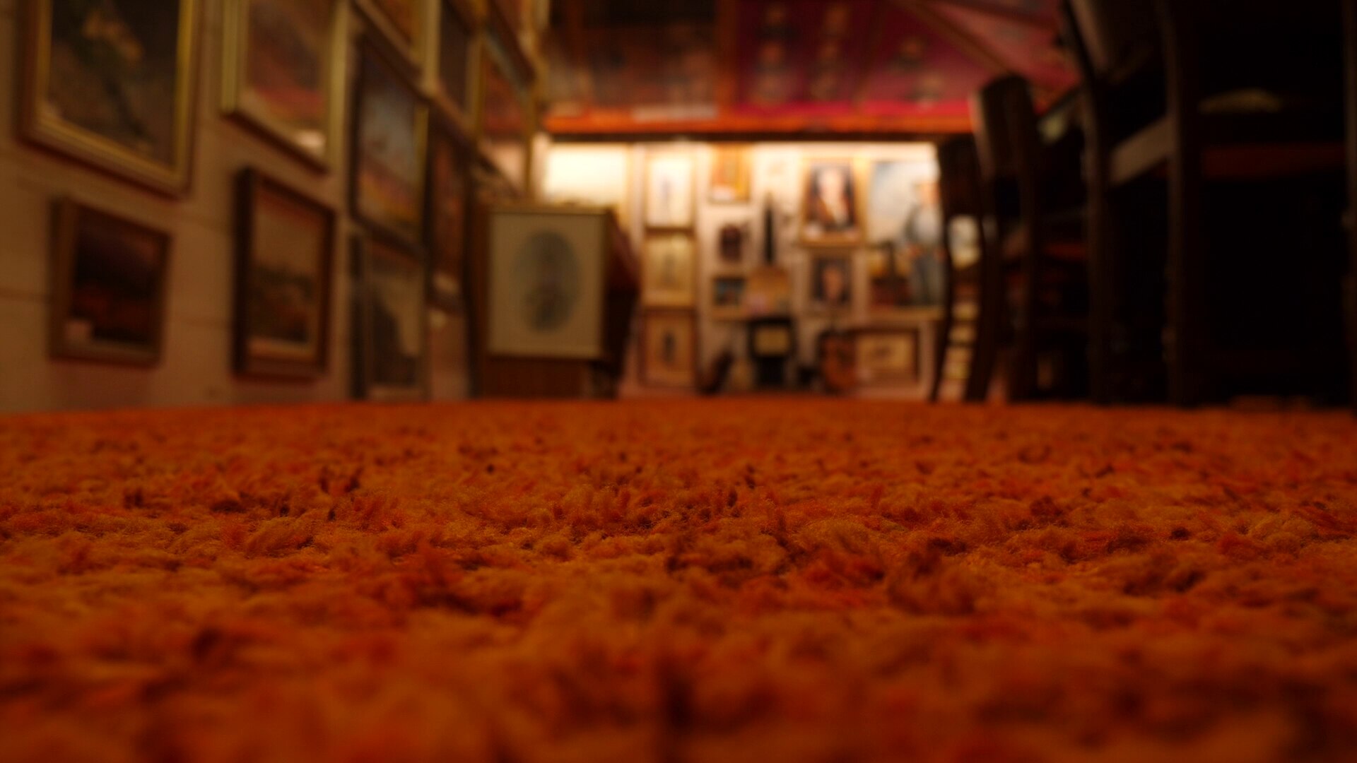A shag-pile carpet in an art gallery.
