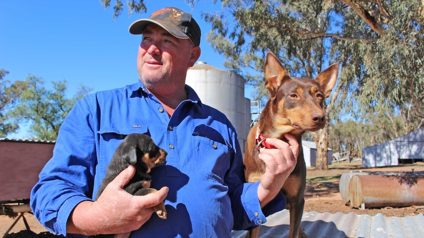 Dog trainer Shane Maurer with his top-dog Eveready Possum