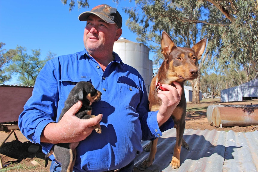 Dog trainer Shane Maurer with his top-dog Eveready Possum