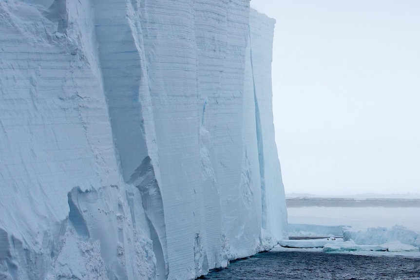 A large iceberg in in Antarctica