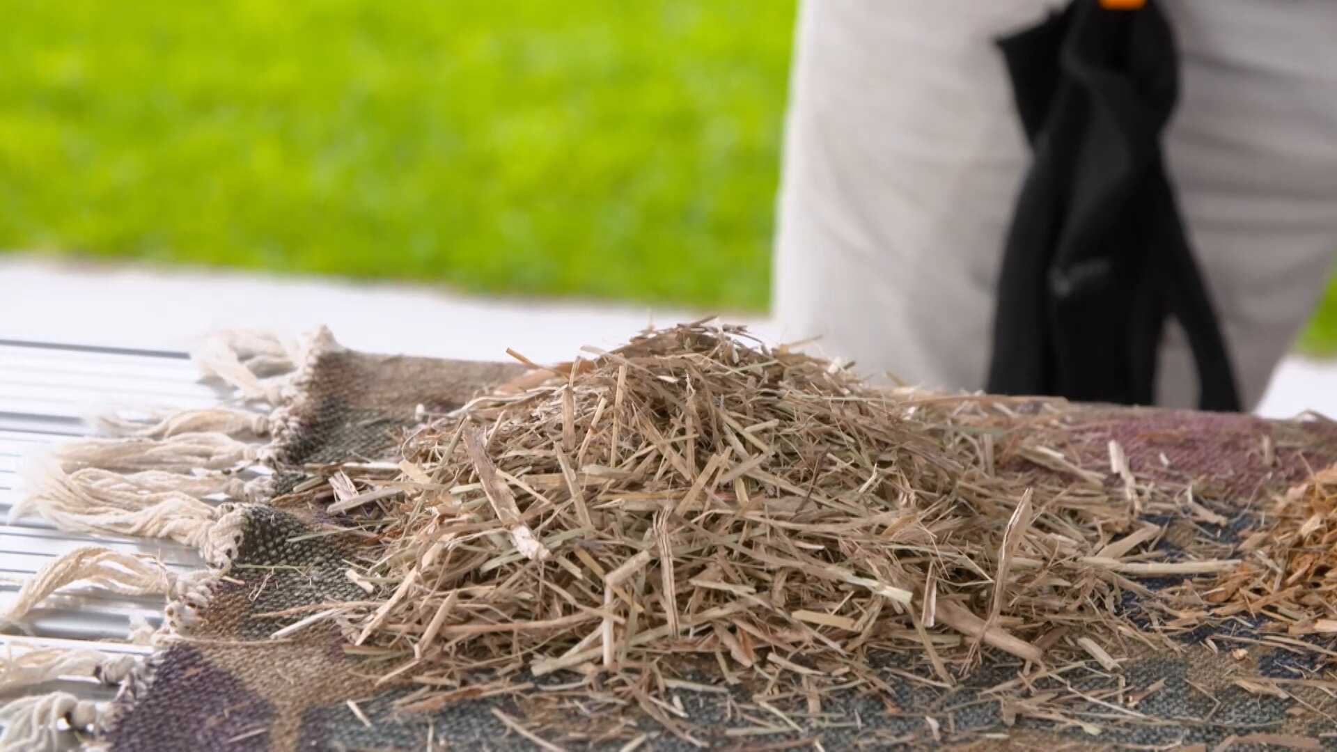 How To Choose The Right Mulch For Your Garden - ABC Everyday