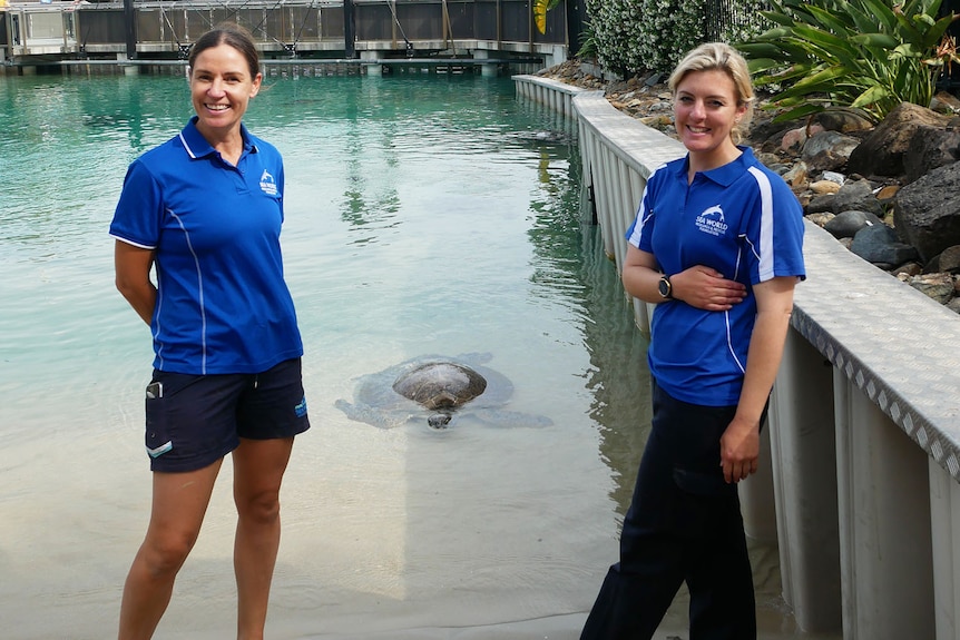 Dr Claire Madden and Siobhan Houlihan with a rescued sea turtle in the pool.