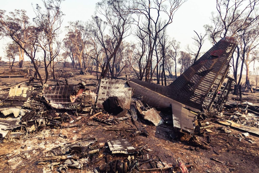 ground view of a destroyed and burnt out plane surrounded by burnt trees
