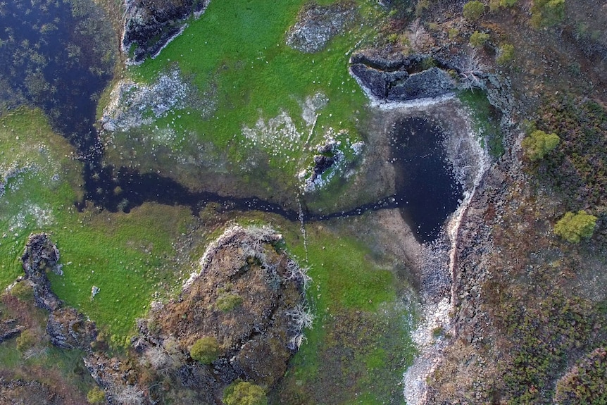 An aerial view of a network of ponds surrounded by green vegetation.