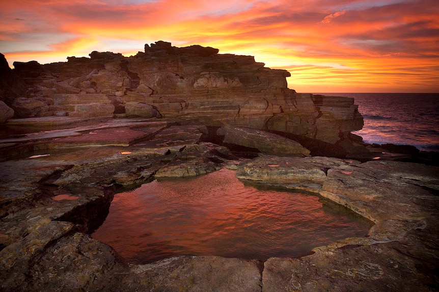 Anastasia's pool in Broome.