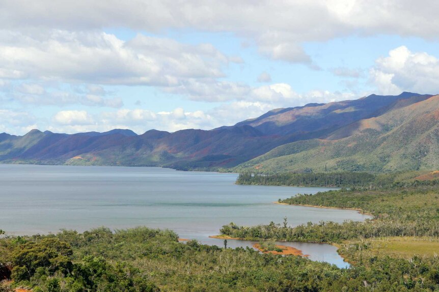 A bay and trees in New Caledonia.