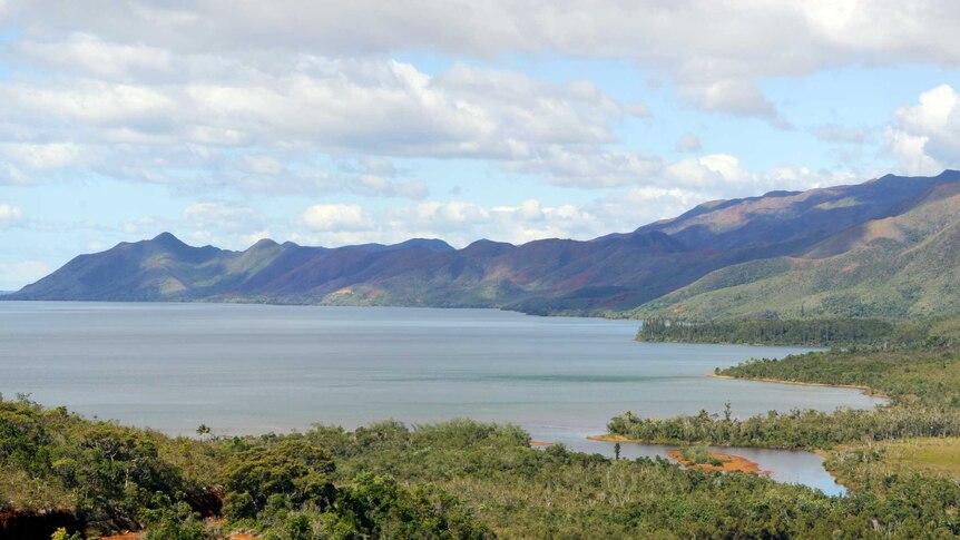 A bay and trees in New Caledonia.