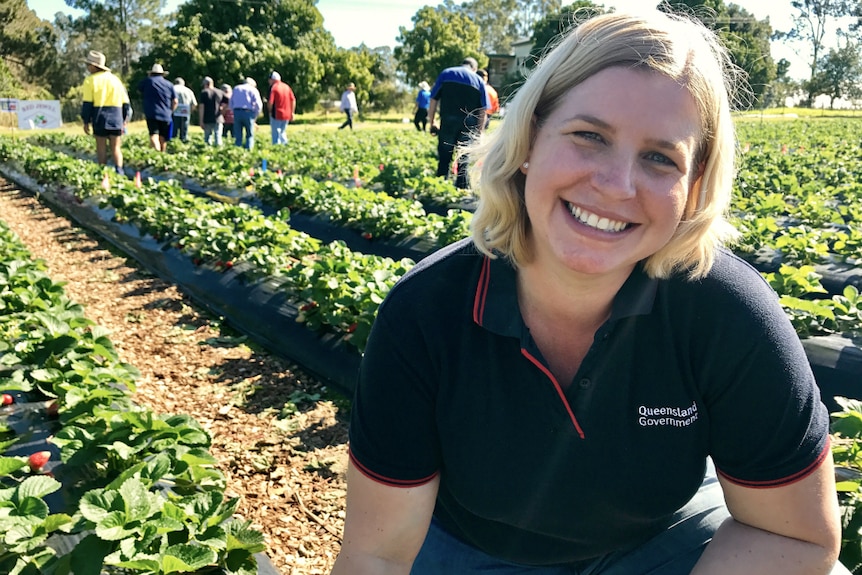 Dr Jodi Neal crouching down in front of a trial strawberry patch with people looking through the field in the background.