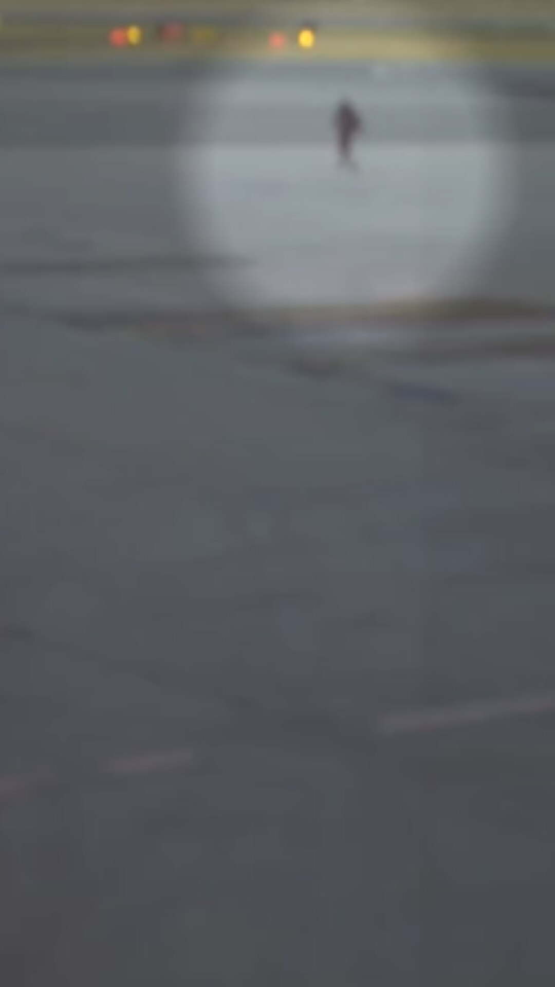 The moment a woman stormed the tarmac at Canberra Airport - ABC News