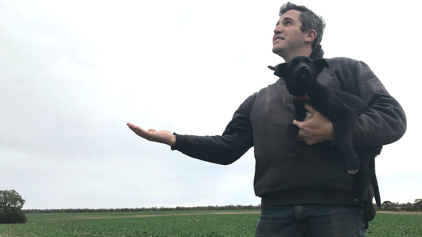 A man holding a dog in a field of crops, holding his hand up looking for rain.