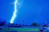 A huge lightning strike over suburbia at night time.