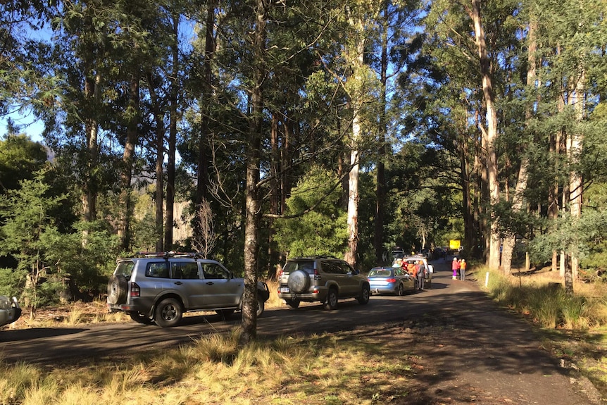 Cars bound for Mt Mawson stalled on Lake Dobson Road