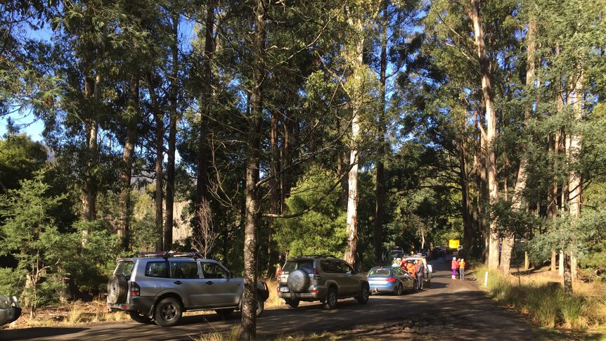 Cars bound for Mt Mawson stalled on Lake Dobson Road