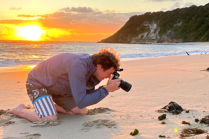 Man sits on beach and takes photo of dead seabird as sun sets over the ocean in the background.