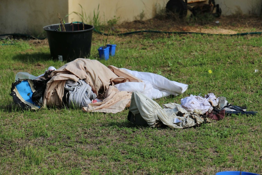 A pile of charred clothing lies on a lawn next to a potted plant with nearly dead seedlings.