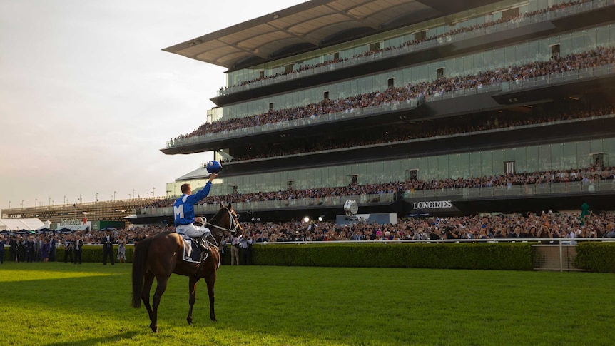 A jockey waves to the crowd atop his horse after winning a race while the sun sets