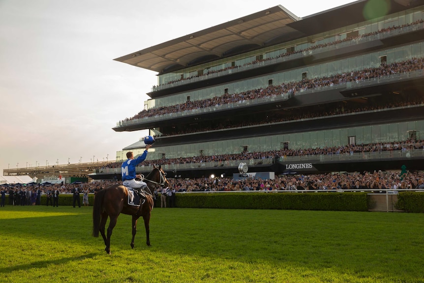 A jockey waves to the crowd atop his horse after winning a race while the sun sets