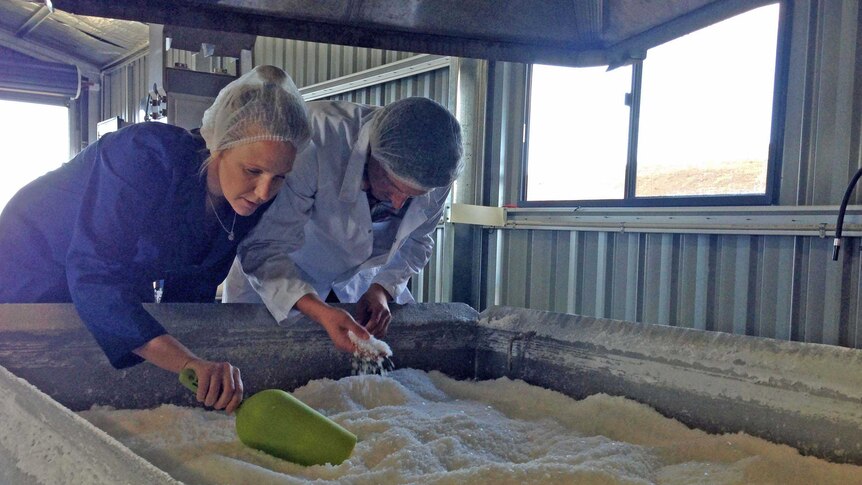 Alice Laing and Chris Manson gather salt at their gourmet sea salt business.