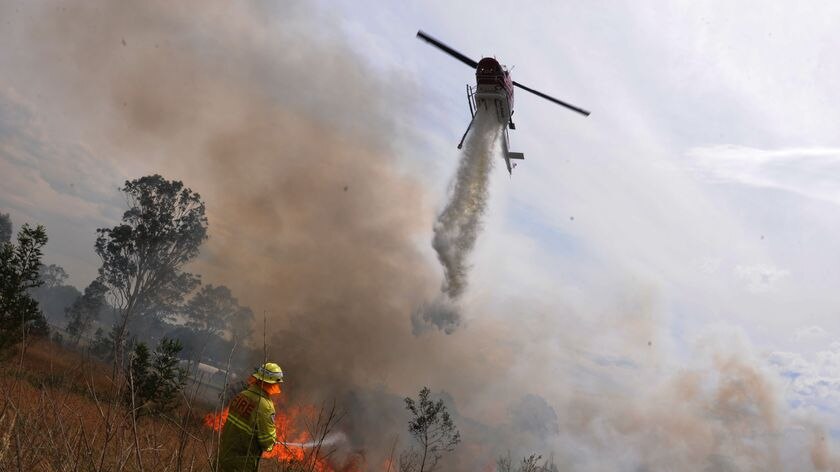 Firefighters from both the Rural Fire Service and the NSW Fire Brigade fight a grass fire