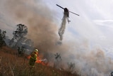 Firefighters from both the Rural Fire Service and the NSW Fire Brigade fight a grass fire