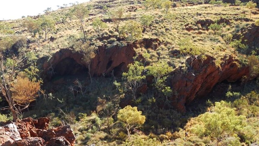 Picture of a cave system in rough Pilbara landscape with few trees and much spinifex above the caves