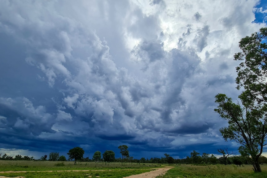 Rainclouds over Mantuan Downs Station between Springsure and Tambo