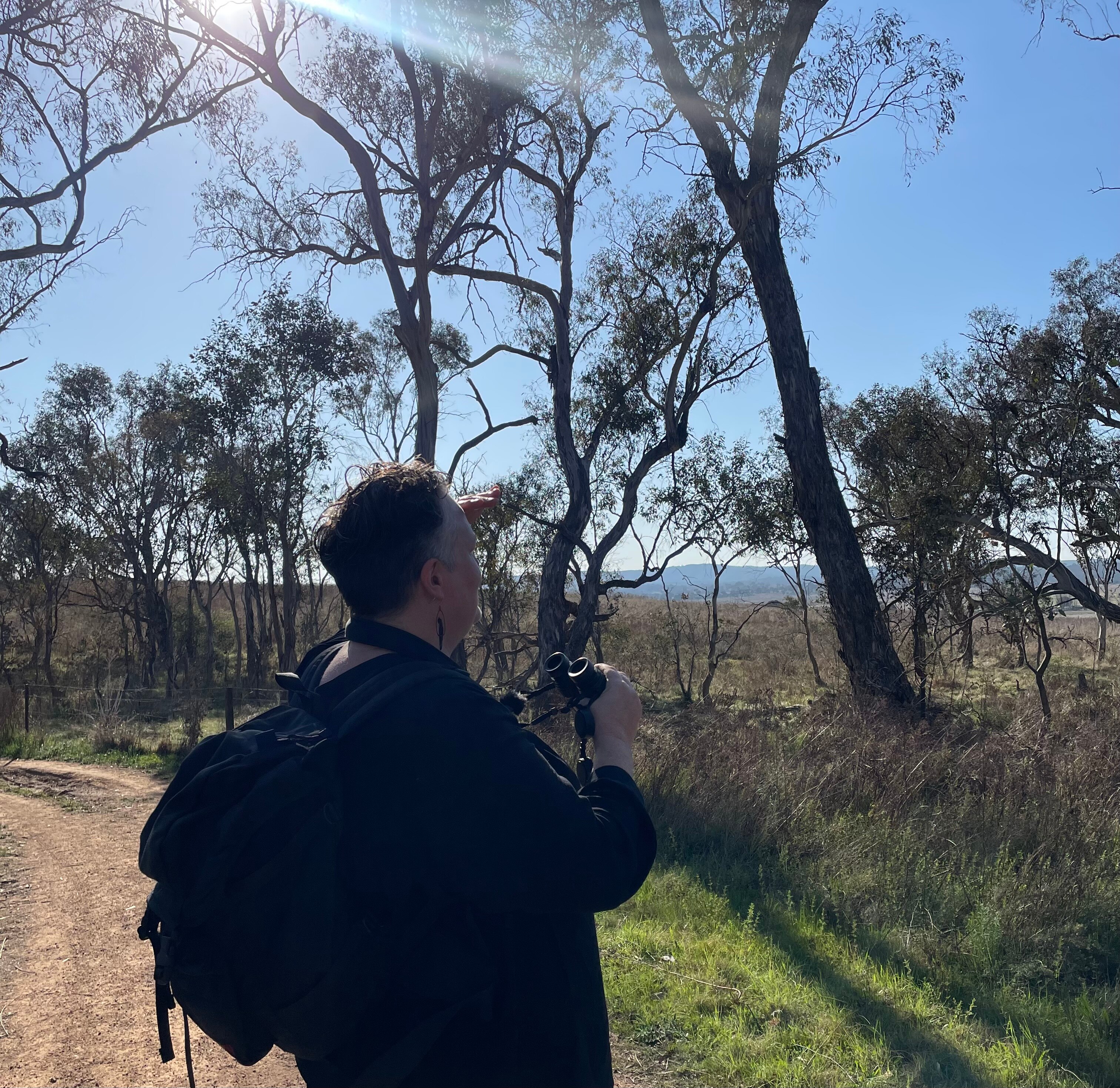 'Bird-curious' to bird enthusiast - ABC listen