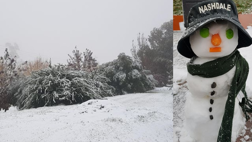 A composite image of snow on bushes and the ground, and a snowman wearing a hat.