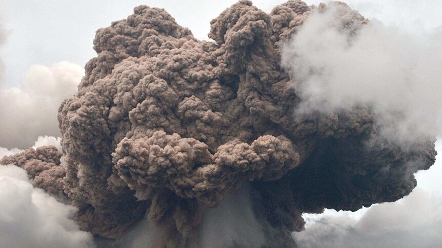 Volcanic ash spews from Mount Sinabung.