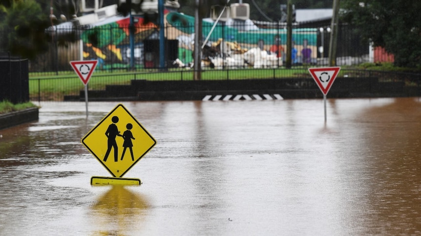 A submerged pedestrian crossing sign in Lismore during floods