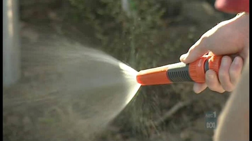 From November 1, Canberrans will be able to water their gardens anytime with a hose.