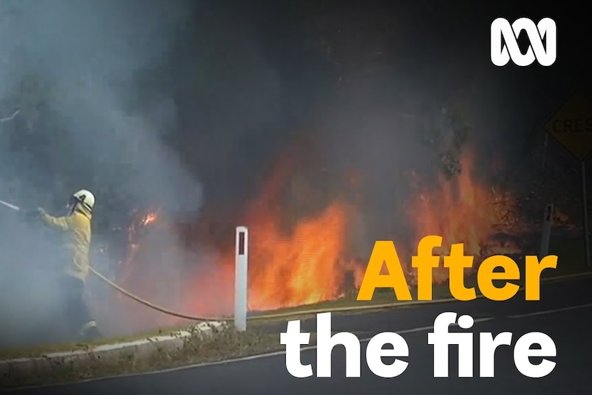 Mount Victoria bushfire: Six years on