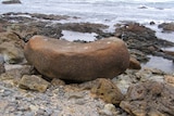 A large rock on the shoreline with round-shaped carvings