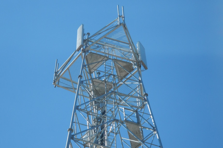 A wide shot, looking to the sky, of a large mobile communications tower with a ladder running through its centre.