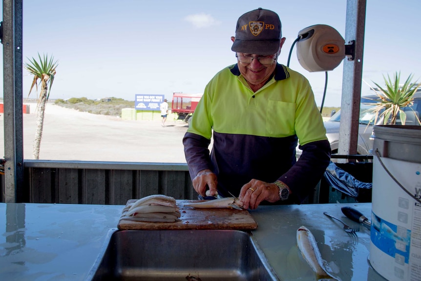 An older gentle man stands behind a work counter cleaning King George Whiting.