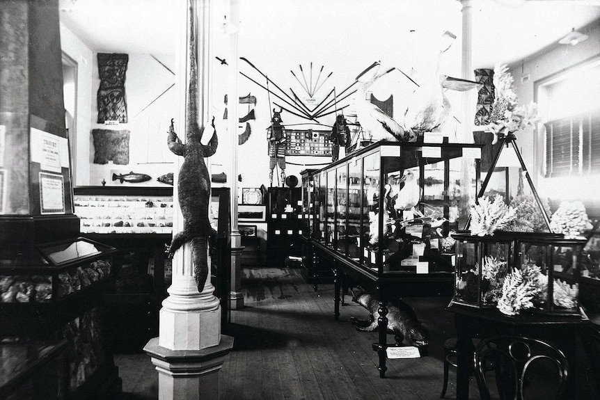 Queen Victoria Museum and Art Gallery in 1890s.