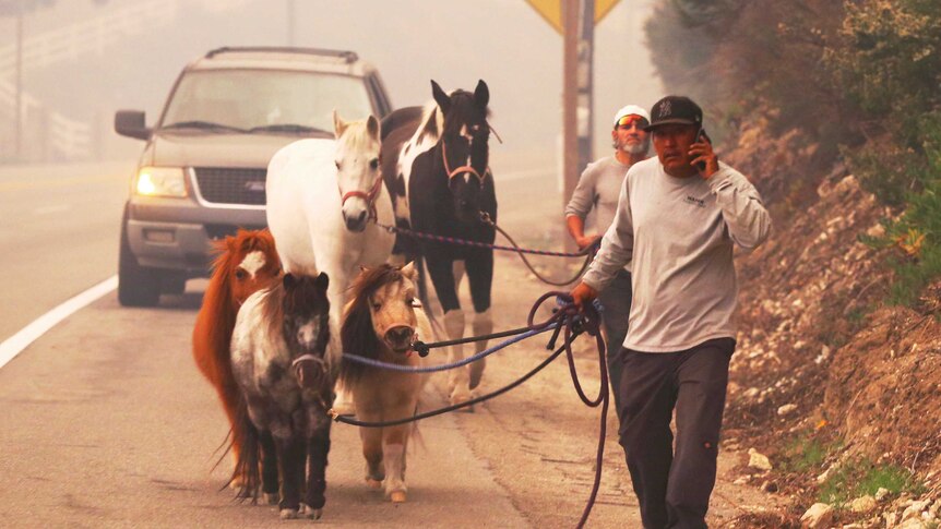 Two men walk through smoke along a road leading horses and ponies, followed by a car.
