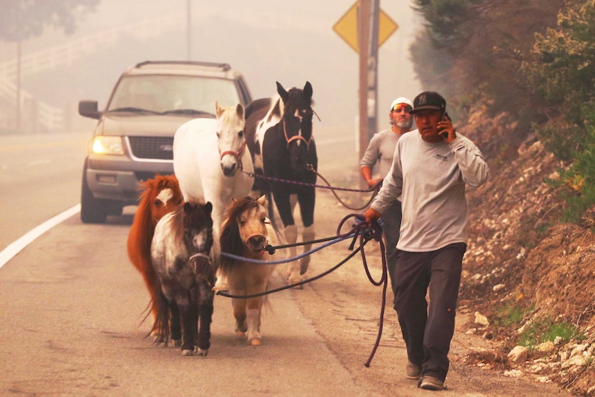 Two men walk through smoke along a road leading horses and ponies, followed by a car.