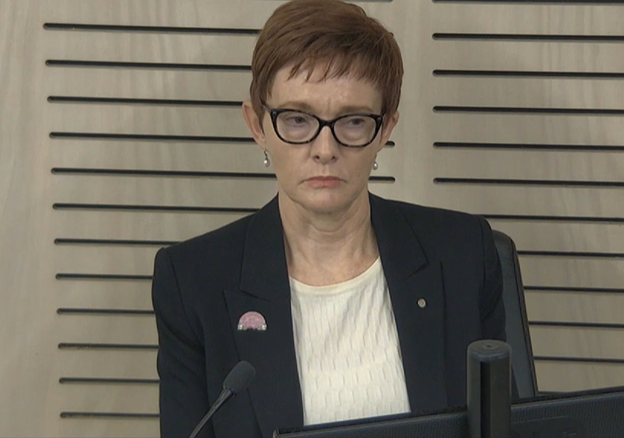 Council CEO sent anonymous email to media alleging 'systemic corruption'