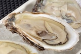 Natural oysters