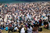 Thousands attend rally against WA shark culling policy