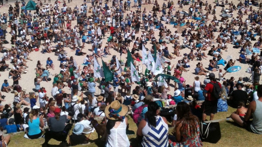 Thousands attend rally against WA shark culling policy