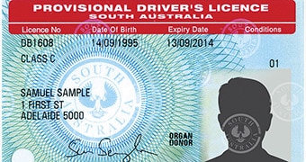 Driver S Licences The Golden Ticket Of Id Theft As Authorities Struggle To Protect Fraud Victims Abc News