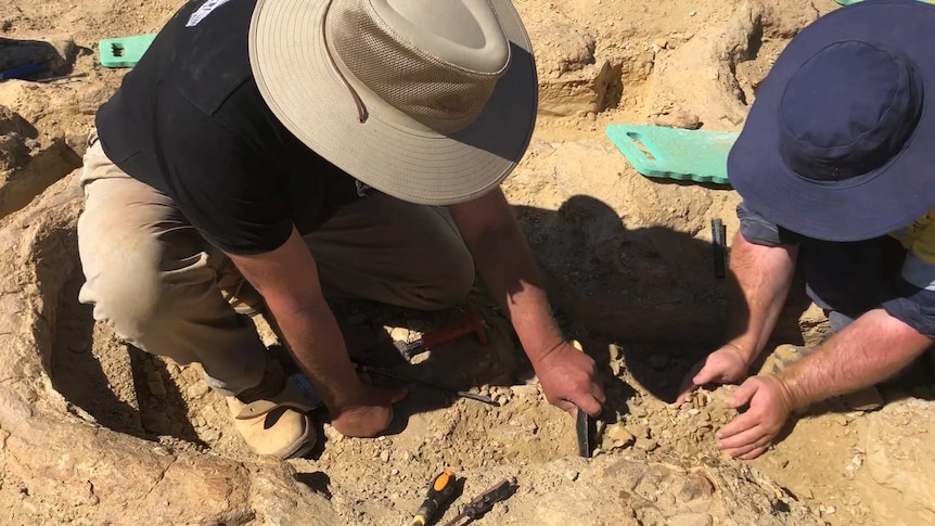 Workers digging in a dinosaur track near Winton in western Queensland.